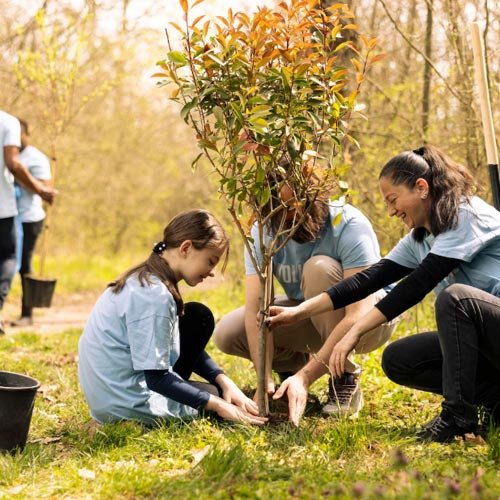 Protección y vigilancia de áreas verdes y plazas públicas de Calama